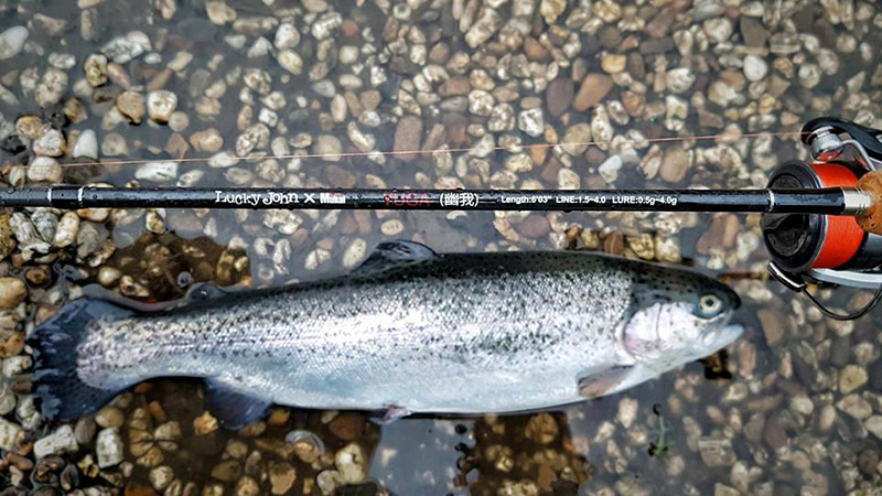 AREA TROUT GAME &ndash; все для ловли прудовой форели