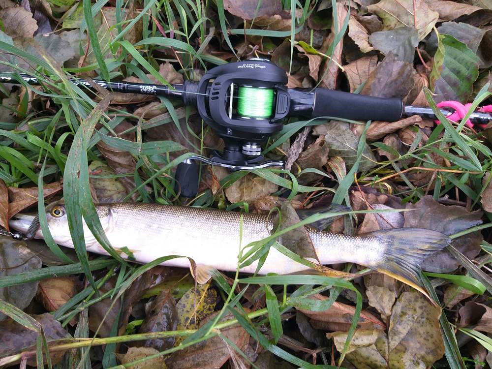 Casting and multiplier reels - pros and cons 01.JPG
