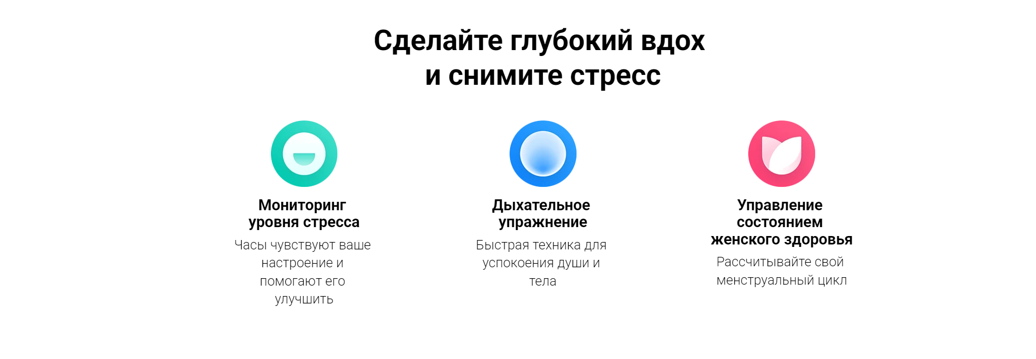 29.png