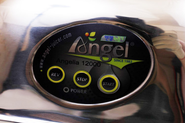 Angel 12000