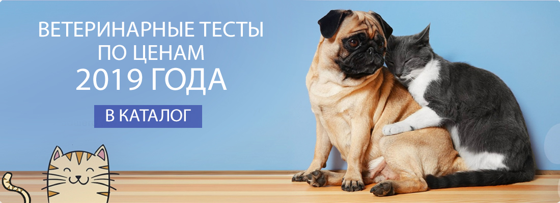 Анализатор в бесплатную аренду