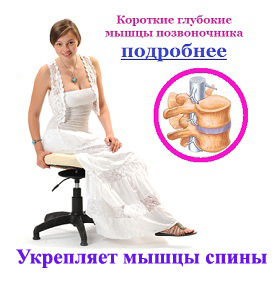 Укрепляет мышцы спины