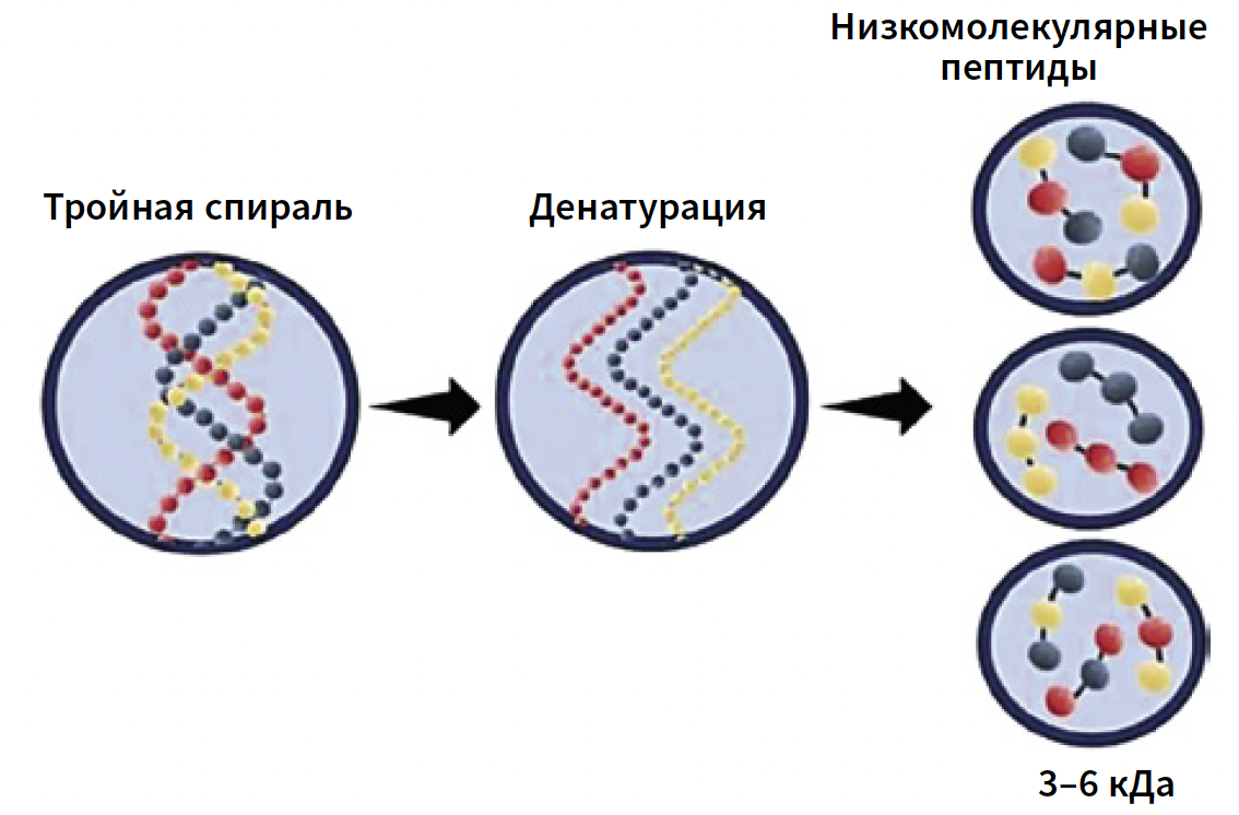 Флегонтова КМ 4-2024_Рис 5 Флегонтова КМ 4-2024_Рис 5.png