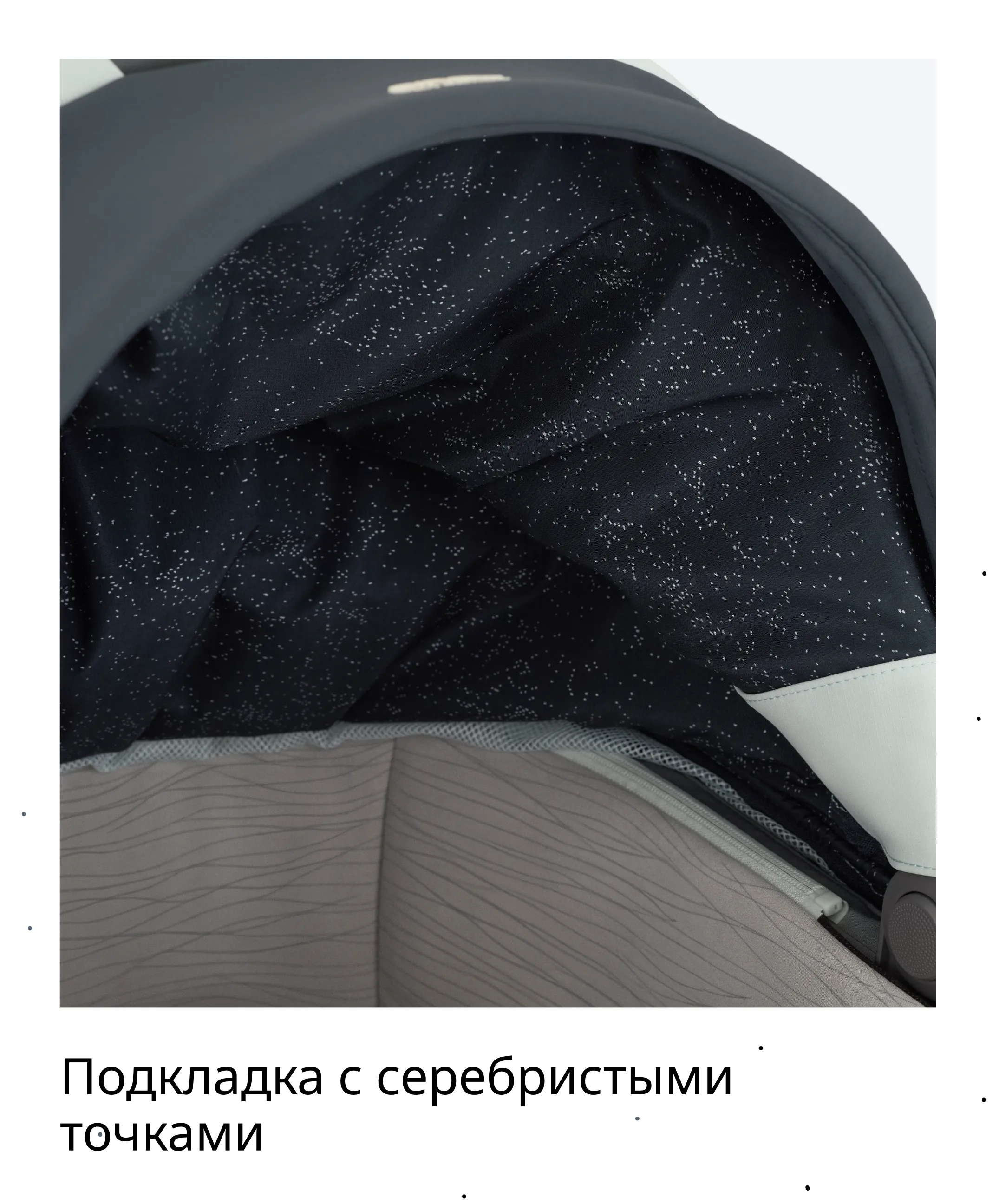 RU_Eli_Wavy_presentation-8-2.webp