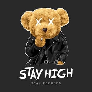 принт с Тедди Stay high