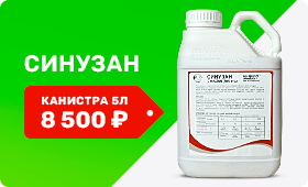 Синузан