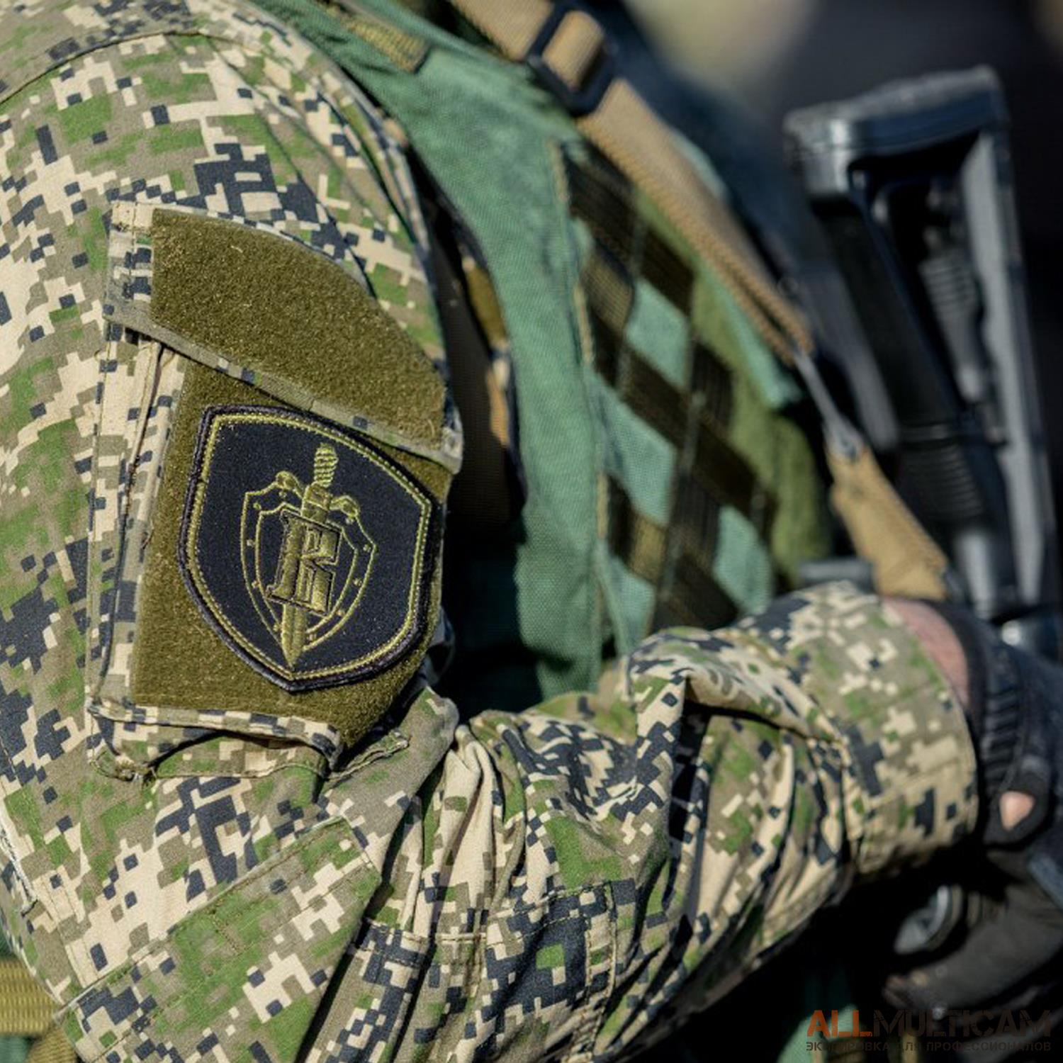 Акции ALLMULTICAM
