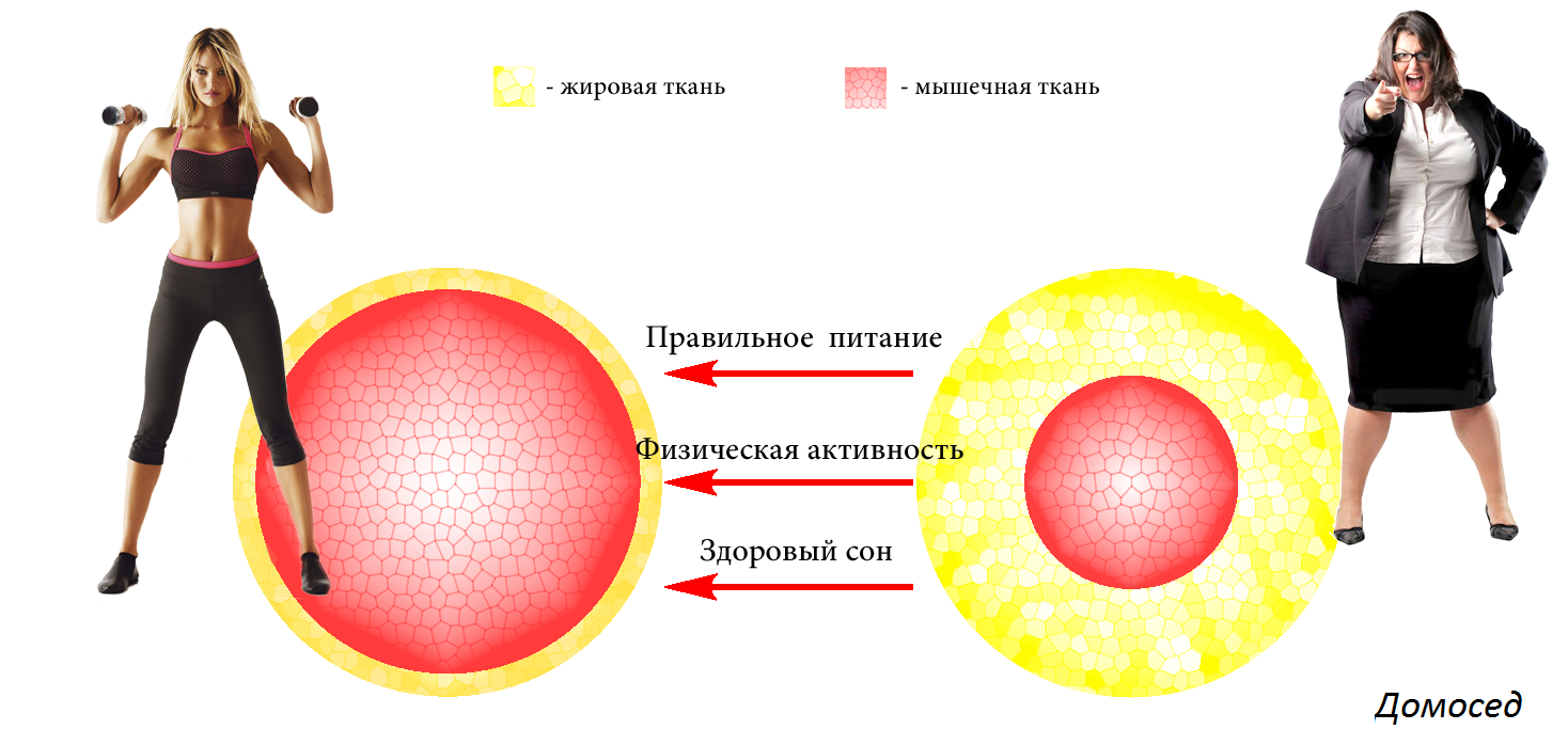 правильное питание правильное питание