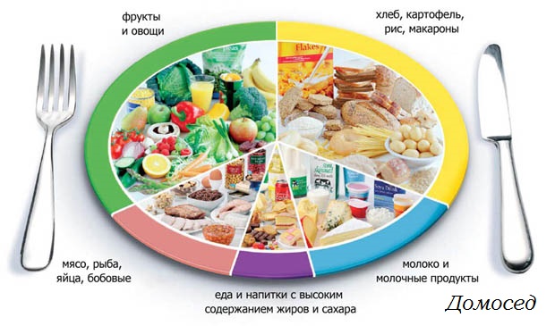 правильное питание правильное питание
