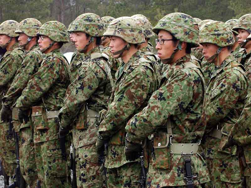 Flecktarn в Японии