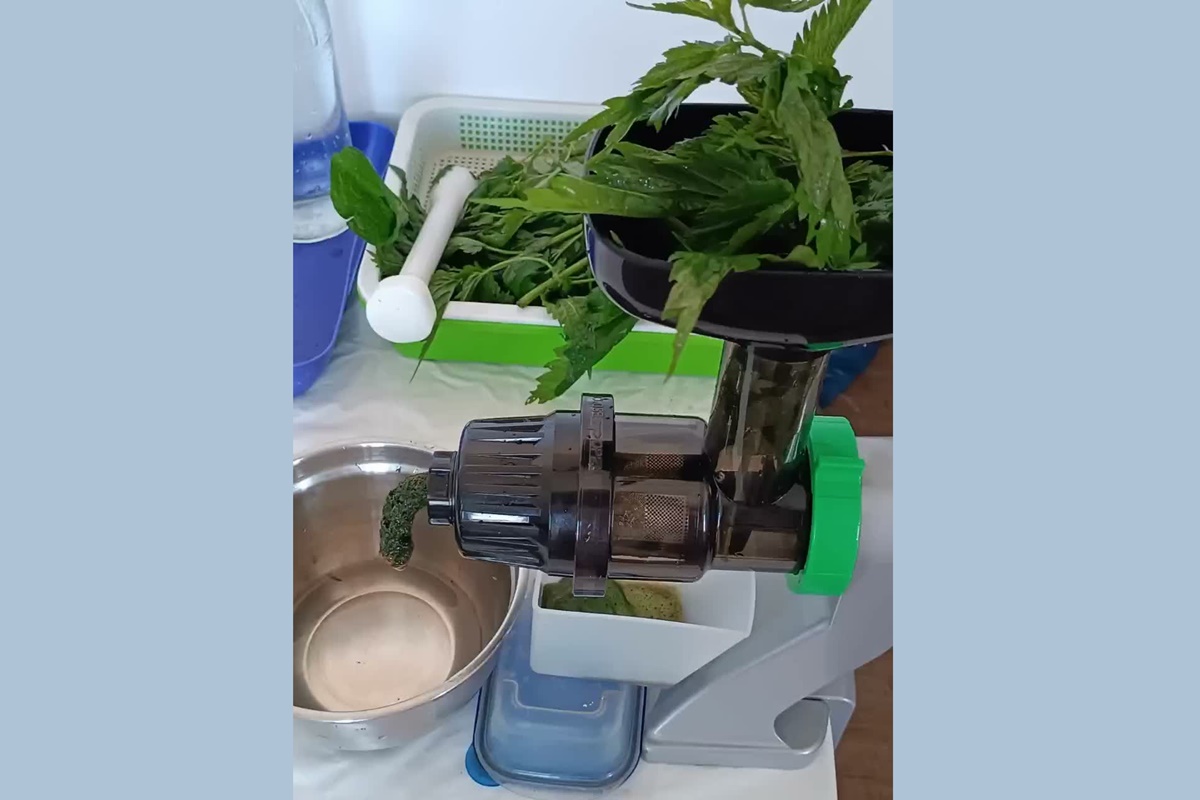 соковыжималка для крапивы