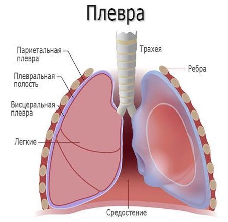 описание фото