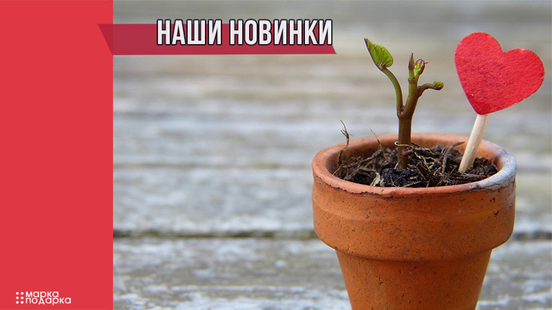 Новые аксессуары и идеи подарков для мужчин и женщин в нашем интернет-магазине