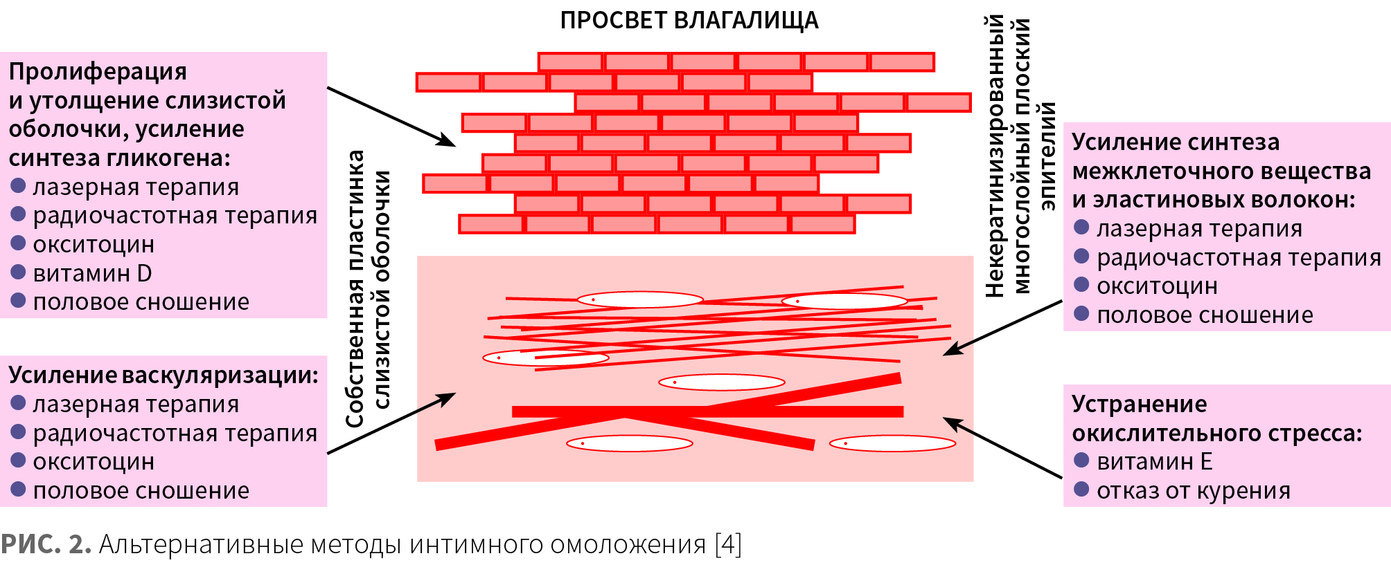Лешунов (КИТ МЕД) КМ 3-2024_Рис 2.jpg