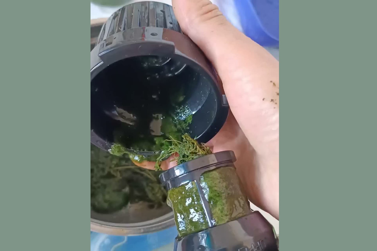 сок из дикоросов