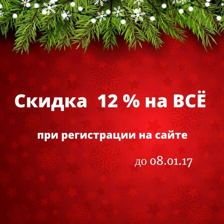 novogodnaya_skidka
