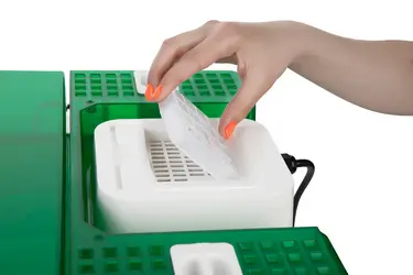 Проращиватель EasyGreen Light 55