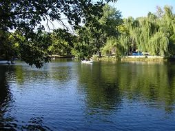 Парк &laquo;Лукоморье&raquo;