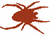 bug1
