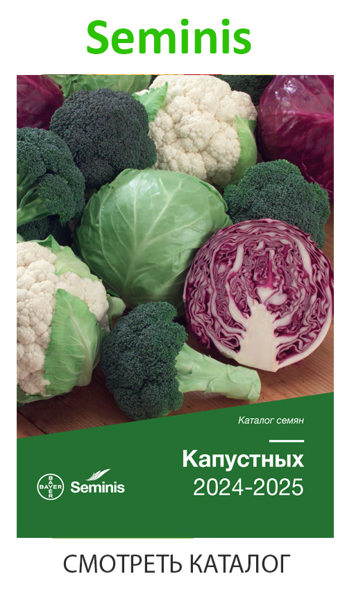 seminis_каталог_для_капустных_25.jpg