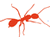 bug6