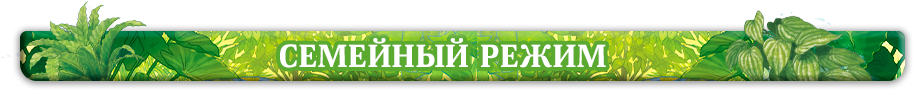 2 2.png