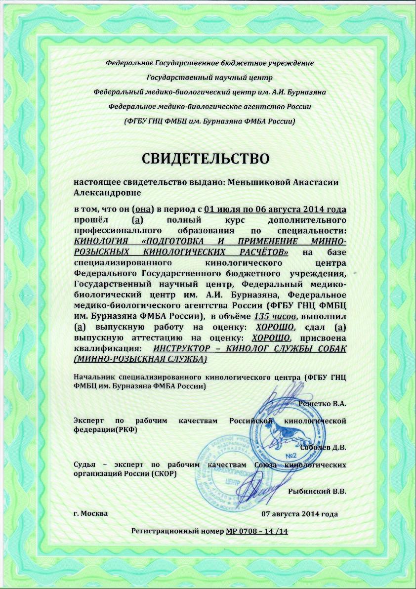 Диплом Настя.jpg