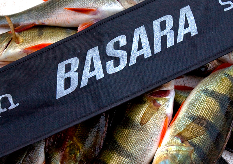 Basara &ndash; цена успеха