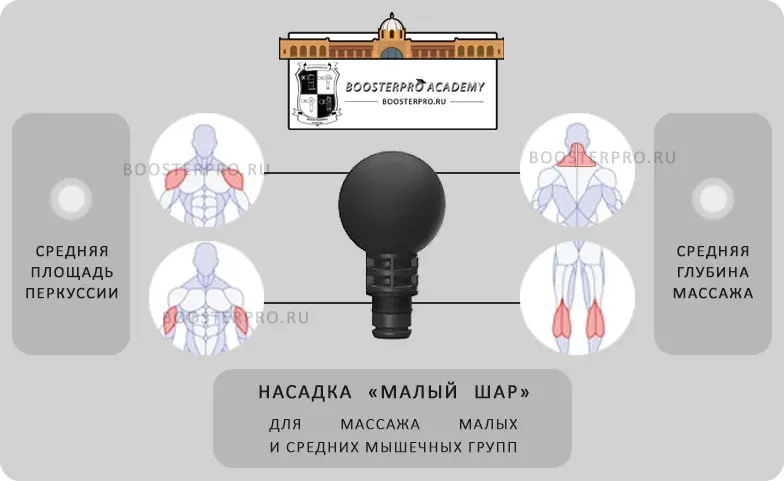малая круглая насадка универсальная для любой мышцы