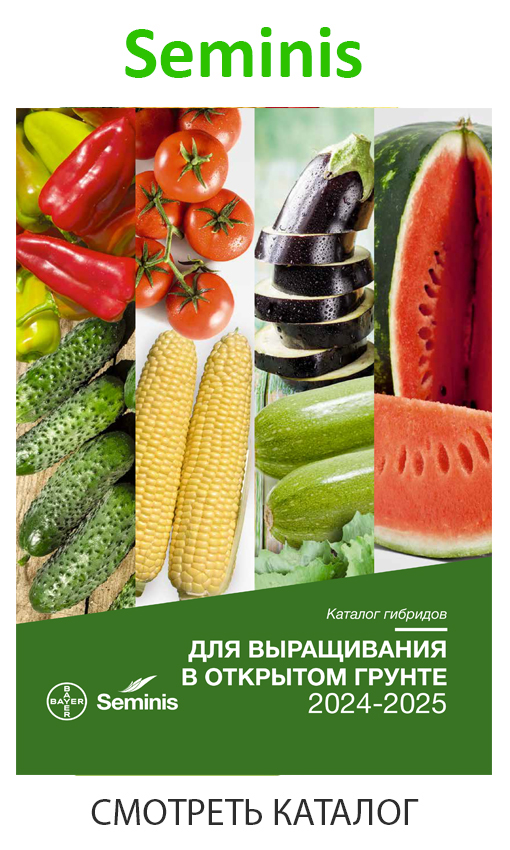 seminis_каталог_для_открытого_грунта_2024-2025.jpg