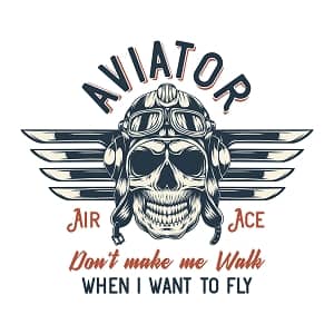 принт с самолетом Aviator
