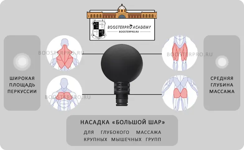 большой шар насадка для крупных мышц грудь квадрицепс