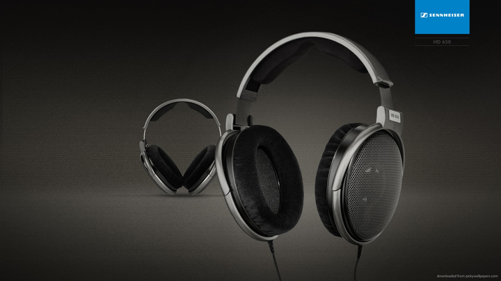 Sennheiser HD 650 (2003) Sennheiser HD 650 (2003)