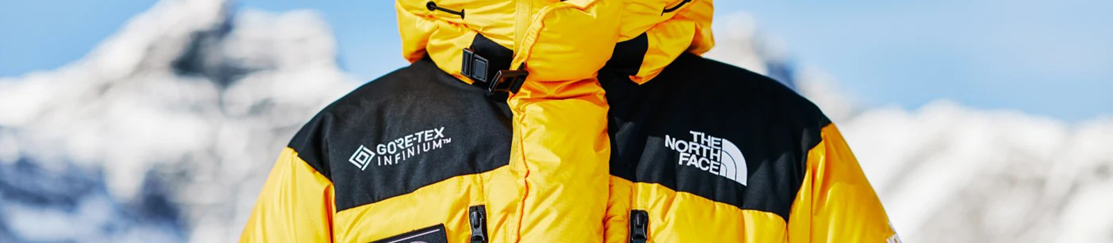 Купить копии и реплики The North Face