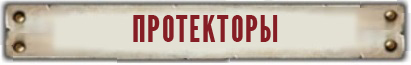 2вф_ПРОТЕКТОРЫ.jpg