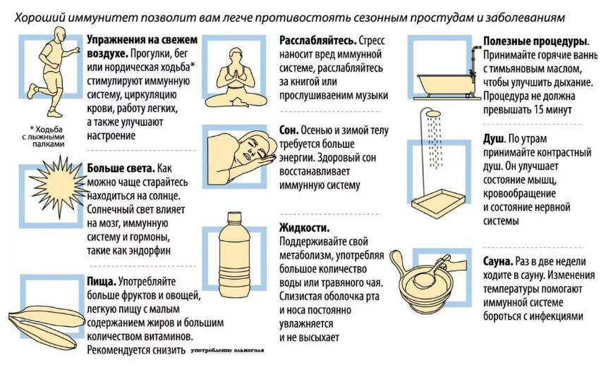 иммунитет иммунитет.png