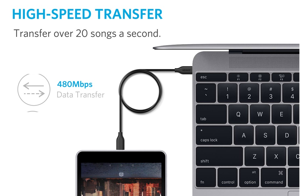 Anker PowerLine USB-C to USB 2.0
