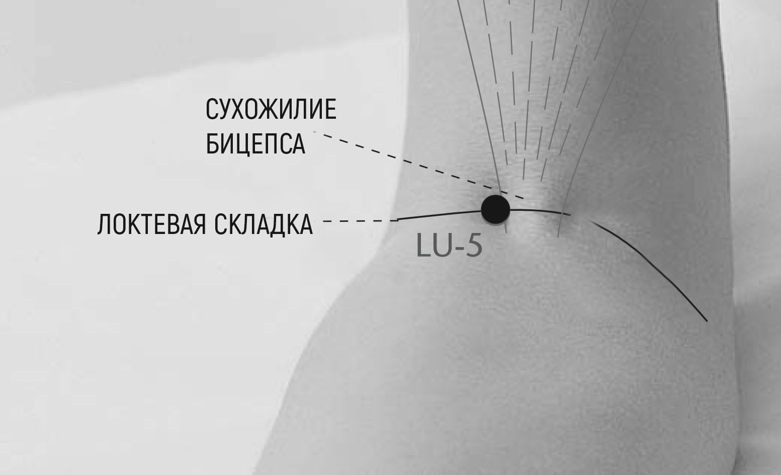 Lu5 Lu5.png