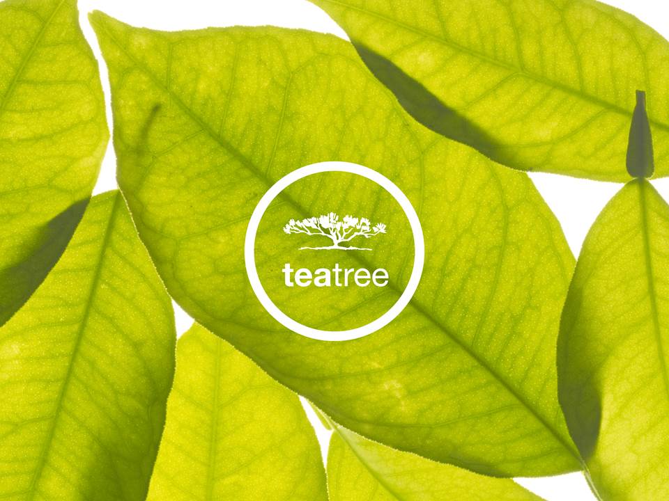 Tea Tree