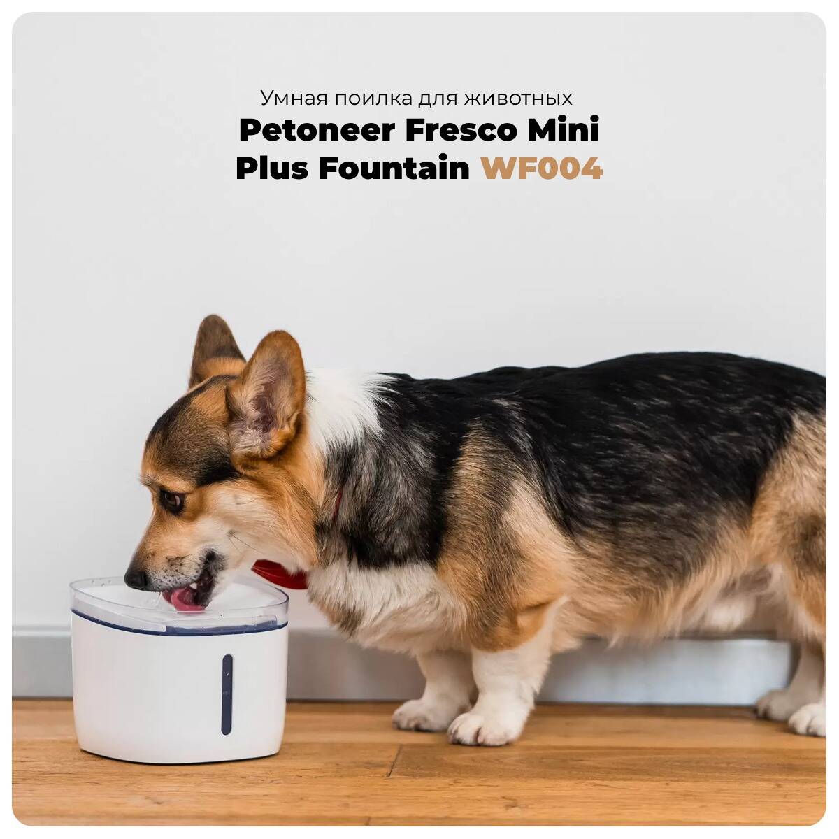 Автопоилка для животных Petoneer Fresco Mini Plus Fountain (WF004)