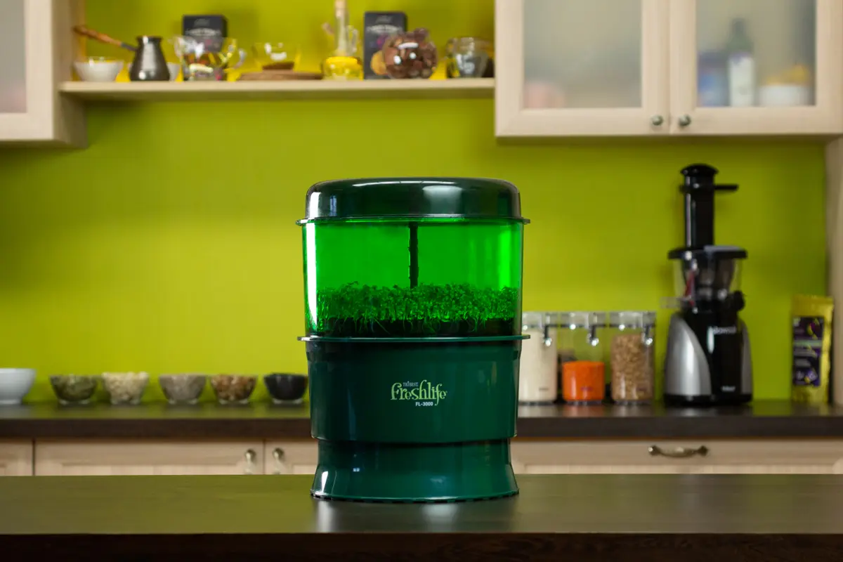 проращиватель