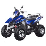 Stels ATV 250 Stels ATV 250