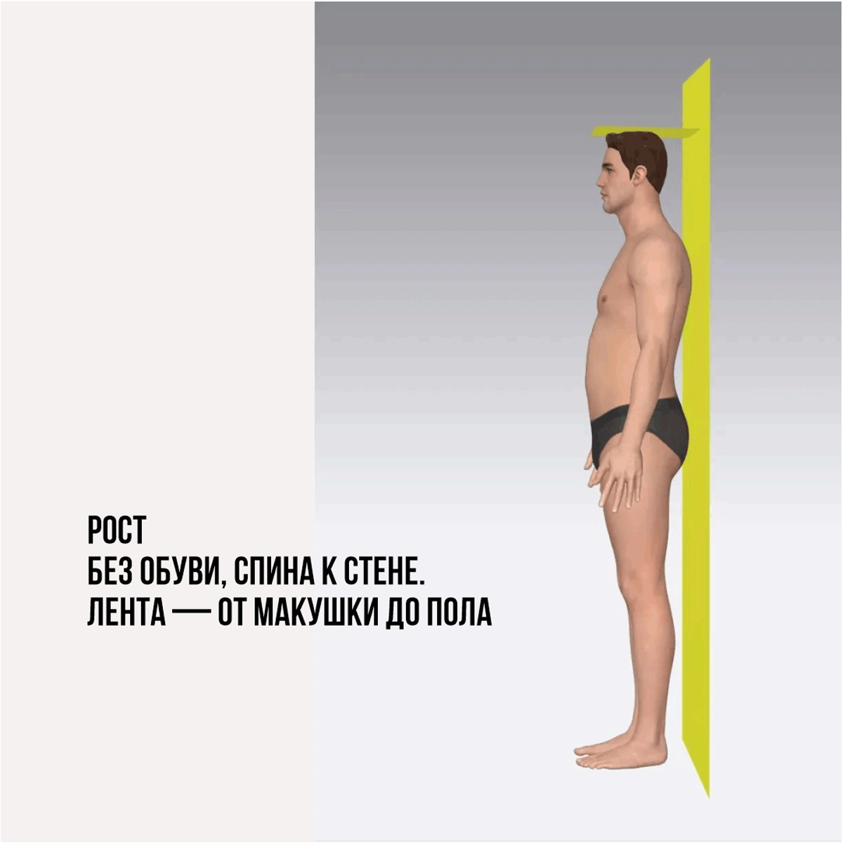 мерка рост