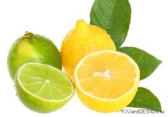 sirip-lime-djus-monin.jpg
