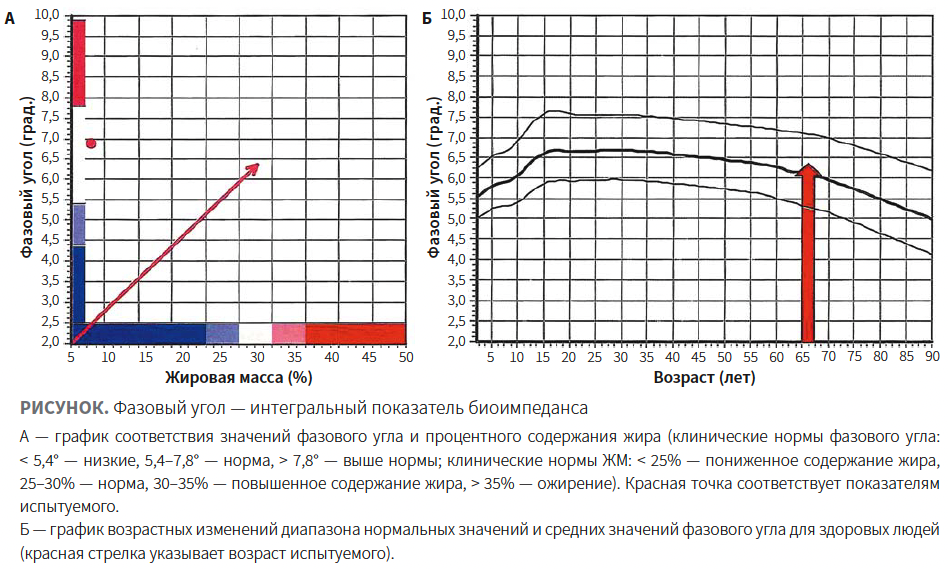 Endospera_Fig Endospera_Fig.png