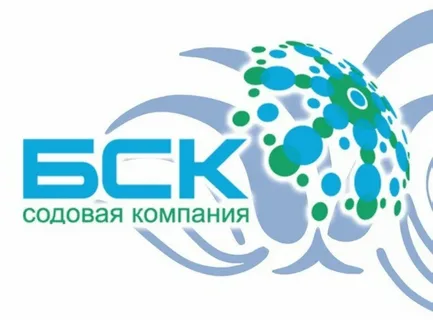 -БСК-логотип -Содовой -компании-Башкирия-.webp