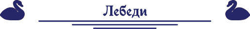 лебеди лебеди.png