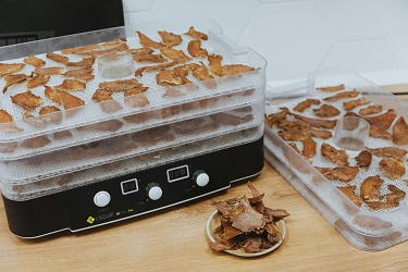 Сушка продуктов в L'equip LD-918BT дегидратор сушилка +для мяса