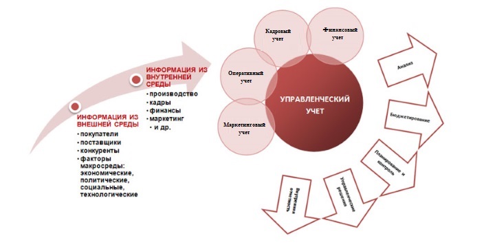 Структура управленческой отчетности в торговой организации