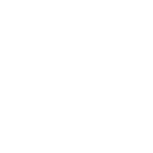 social icon 2
